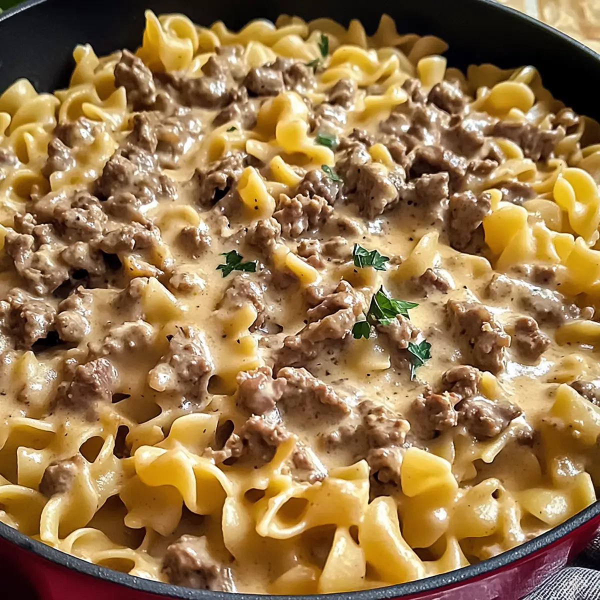 Hamburger Helfer Rindfleisch Stroganoff